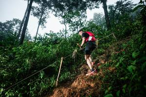 BIB: 
                            <button type="button" onclick="openModal(26202601)" class="btn btn-primary btn-sm float-right btn-popup" data-toggle="modal" data-target=".modal-high-quality">
                        <i class="fas fa-shopping-cart"></i> Add to Cart
                    </button>
                                            <button type="button" onclick="isThisMe(26202601, true)" class="btn btn-success btn-sm float-right btn-popup btn-isme hidden" data-toggle="tooltip" data-placement="bottom" title="นี่คือรูปของคุณใช่ไหม คลิกที่นี่เพื่อเอาเข้าอัลบั้ม">
                        <i class="fas fa-plus"></i> Add to album
                    </button>
                    <button type="button" onclick="isThisMe(26202601, false)" class="btn btn-warning btn-sm float-right btn-popup btn-isnotme hidden">
                        <i class="fas fa-ban"></i> Remove from album
                    </button>